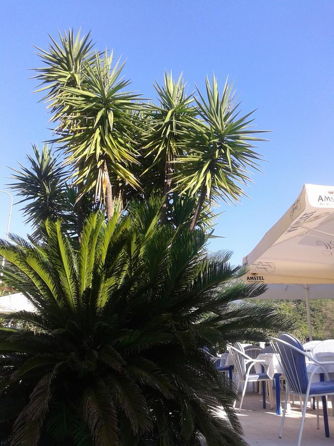 Hotel Jovana บุดวา ภายนอก รูปภาพ